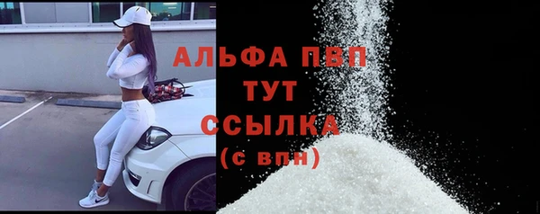 сатива Армянск