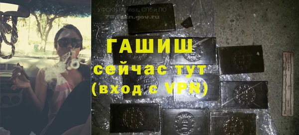сатива Армянск