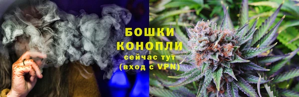 гидра Аркадак