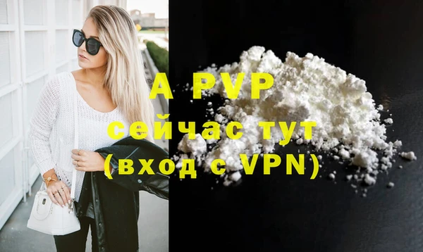 сатива Армянск