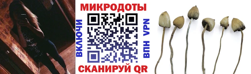 OMG зеркало  Юрьевец  Галлюциногенные грибы MAGIC MUSHROOMS 